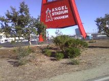 Angel Stadium Sign1